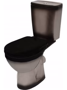 Унитаз-компакт Rosa Рио, черный, декорированный