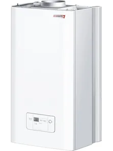 Газовый котел Protherm Гепард 23 MTV, Protherm