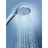 Душевая лейка Grohe Relexa Five 28796000